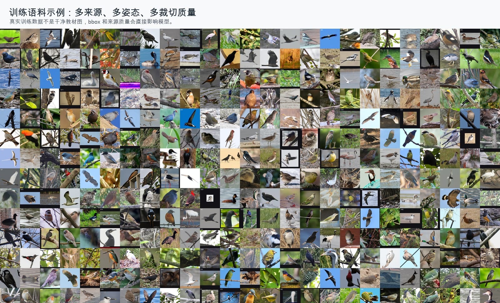 训练语料 contact sheet：多来源、多姿态、多裁切质量混在一起。